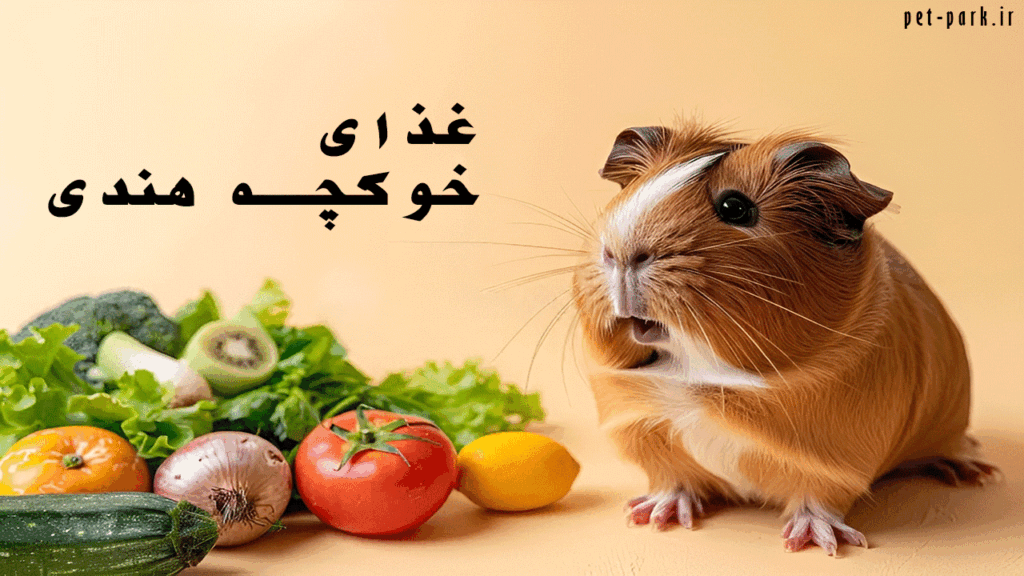 غذای خوکچه هندی